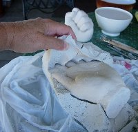 Cast Plaster Hand In Alginate